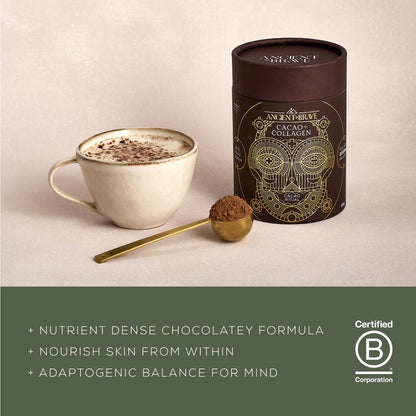 Ancient + Brave Cacao + Collagen 250g